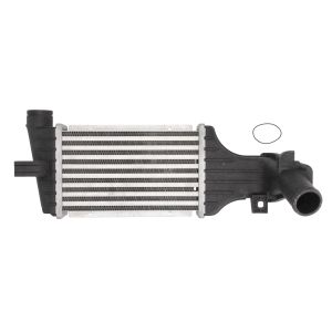 Intercooler THERMOTEC DAX006TT