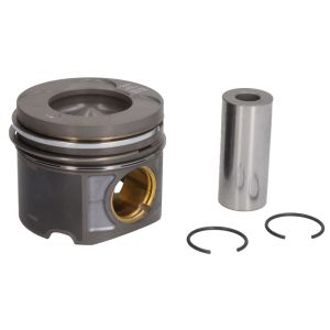 Piston MAHLE 081 PI 00103 002