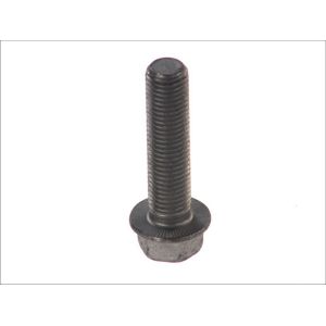 Tornillo BPW 02.5070.95.00