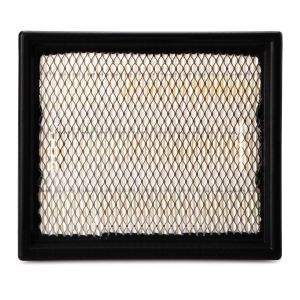 Luftfilter FLEETGUARD AF25684