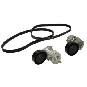 Cinto com várias nervuras (6PK1019)  INA 529 0490 10