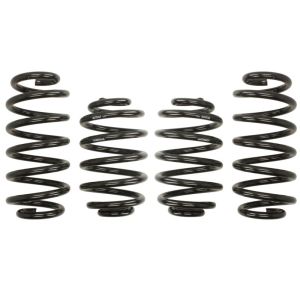 Kit de suspensão, molas EIBACH Pro-Kit E10-79-003-02-22