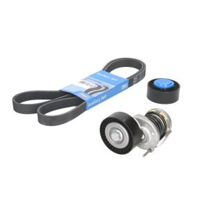 Cinto com várias nervuras (6PK1019)  SKF VKMA 31127