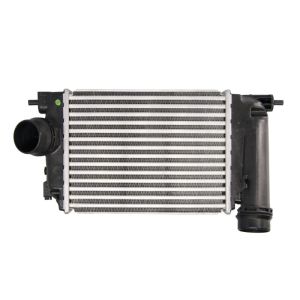 Intercooler NRF 30973