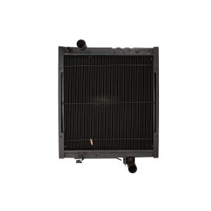 Radiador, arrefecimento do motor THERMOTEC D7AG374TT