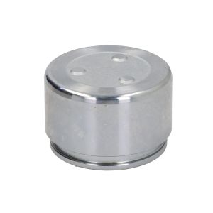 Tätningsskiva AUTOFREN SEINSA D025489