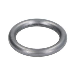 Dichtring, Wasserpumpe ELRING 569.390