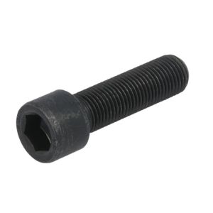 Vis, cache-moyeu VOITH H68.230910
