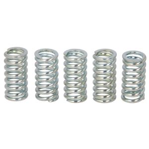 Kit de molas de embraiagem TRW MEF134-5