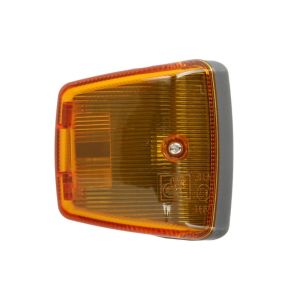 Blinkleuchte DT Spare Parts 4.63545 Links