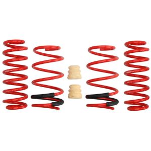 Kit de suspensão, molas EIBACH E20-15-021-01-22