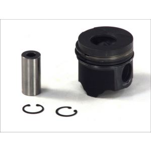 Pistão NÜRAL 87-422300-00