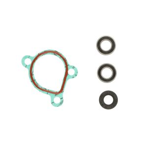 Kit de reparação, bomba de água HOT RODS WPK0068