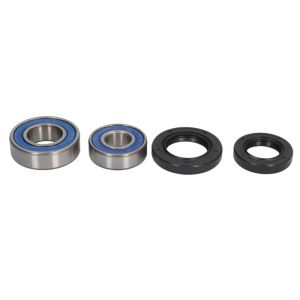Radlagersatz ALL BALLS AB25-1044