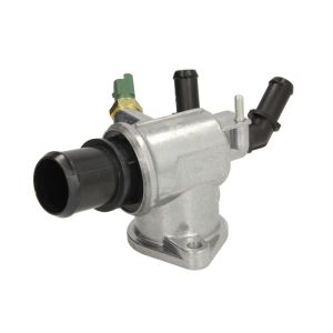 Thermostat d'eau THERMOTEC D2X014TT