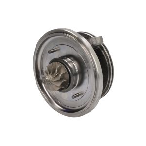 Cartucho / CHRA / Core Assy BMTS 40009490