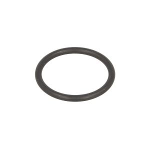 O-ring in gomma DT Spare Parts 1.27400