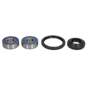 Radlagersatz ALL BALLS AB25-1120