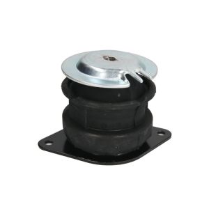 Suporte, motor REINHOCH RH11-0057 direito