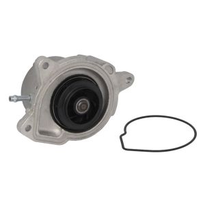 Wasserpumpe SKF VKPC 81213