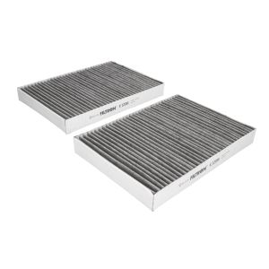 Cabinefilter FILTRON K1201A-2X