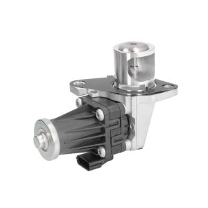 Válvula EGR NRF 48707
