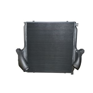 Intercooler THERMOTEC DAME001TT