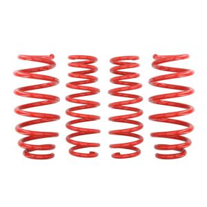 Mola de suspensão Pro-Kit EIBACH E10-10-005-04-22