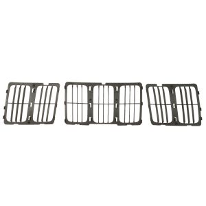 Grille de radiateur BLIC 6502-07-3206993BP