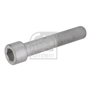 Schroef, remschijf FEBI BILSTEIN 195479