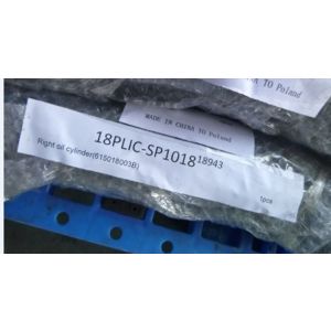 Cilindro hidráulico, macaco EVERT ZL615018003