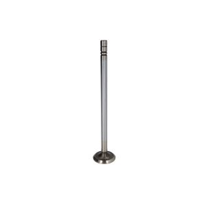 Válvula de escape IPD PARTS 2418383-IPD