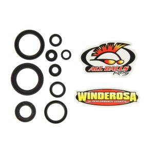 Jeu de bagues d’étanchéité moteur WINDEROSA W822352