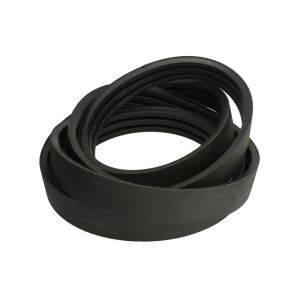Correa poly V OPTIBELT 1001917AP