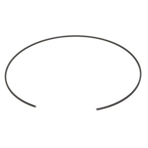 Sicherheitsring EURORICAMBI 95534770