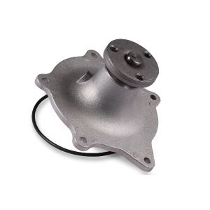 Pompe à eau HEPU P1712