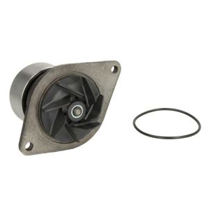 Pompe à eau THERMOTEC WP-NH001