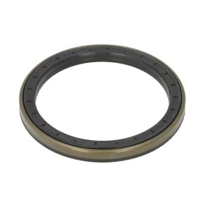 Dichtring, Hinterradnabe ZF 0734309421ZF