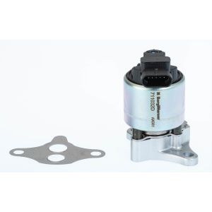 EGR-ventil BORG WARNER 711032D