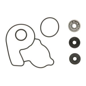 Kit de reparação, bomba de água HOT RODS WPK0036