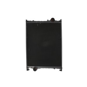 Radiador, arrefecimento do motor THERMOTEC D7AG035TT