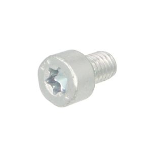 Tornillo BOSCH F 00R 0P1 722