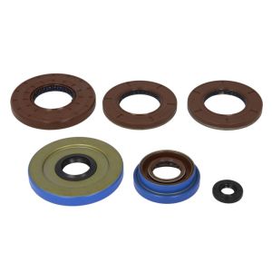 Kit de  joints de moteur WINDEROSA W822141