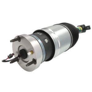 Luftfederbein ARNOTT EUROPE AS-4411