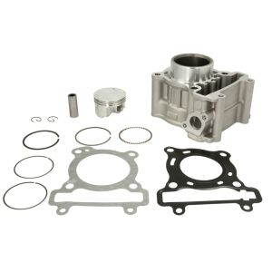 Kit de réparation, piston/chemise de cylindre RMS  10 008 0341