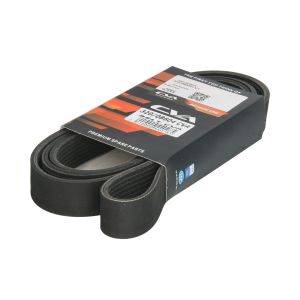 Cinghia Poly-V CVA 320/08604 CVA