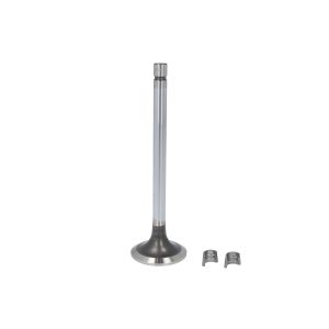 Auslassventil FP DIESEL 3803528-FP