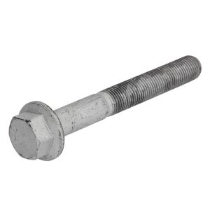 Kiinnityspultti S-TR 1207194