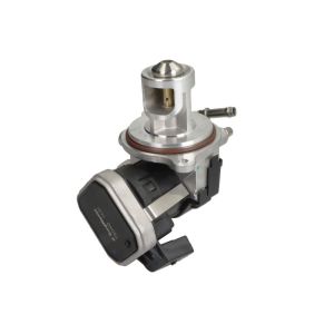 AGR Ventil BORG WARNER 7504D