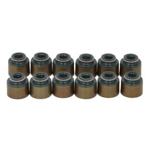 Kit de juntas, haste da válvula REINZ 12-54071-03